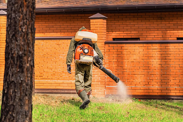Bed Bug Clearance Verification and Documentation in Sylvania